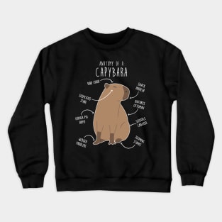 Capybara Anatomy Crewneck Sweatshirt